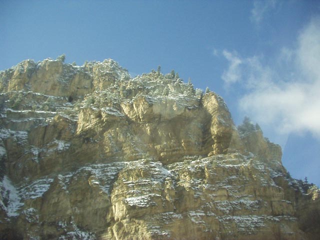 Click again for LARGE Picture