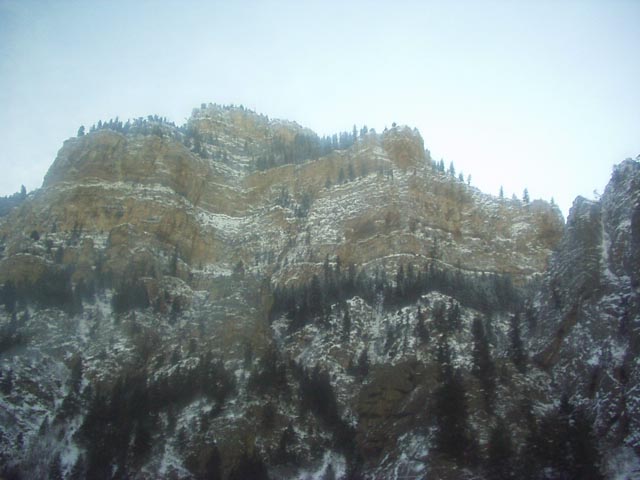 Click again for LARGE Picture