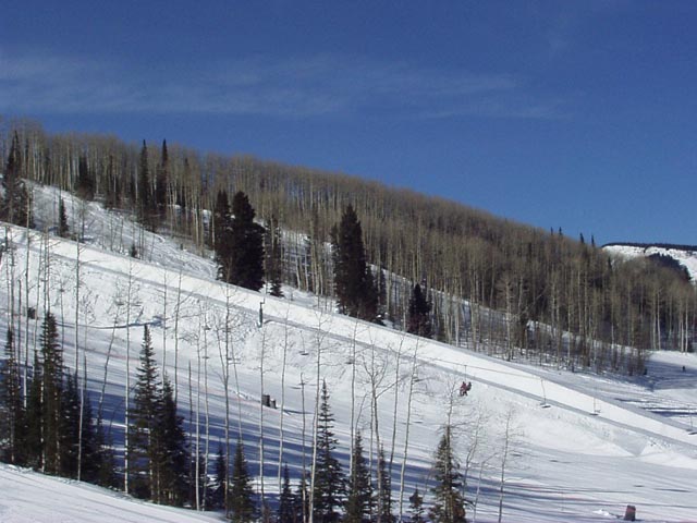 Click again for LARGE Picture