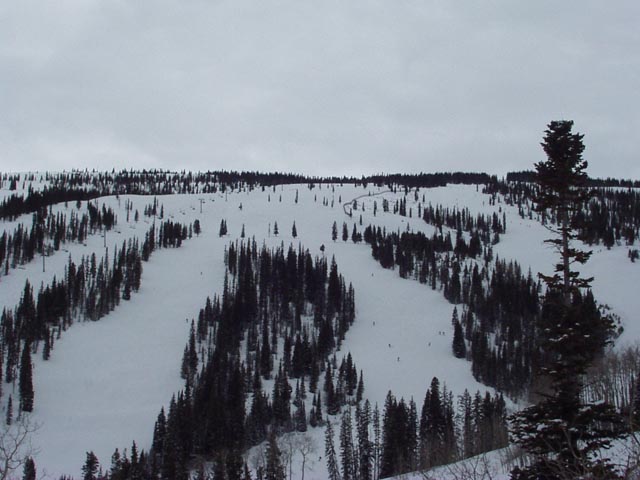 Click again for LARGE Picture