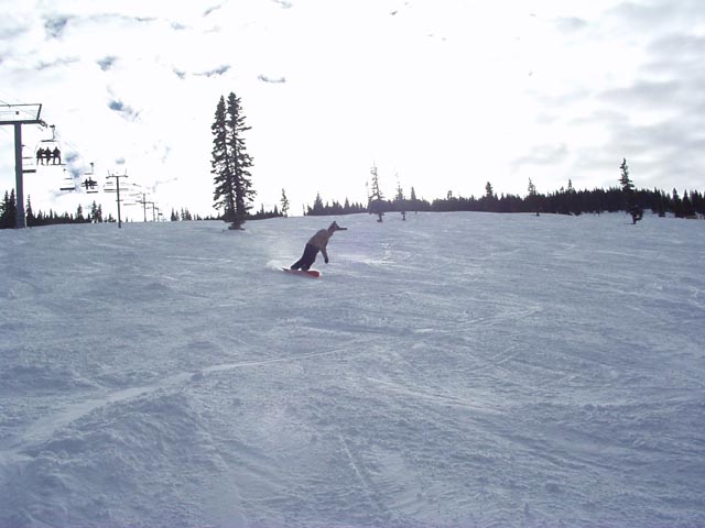 Click again for LARGE Picture