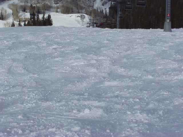 Click again for LARGE Picture