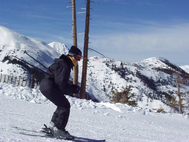 Click again for LARGE Picture