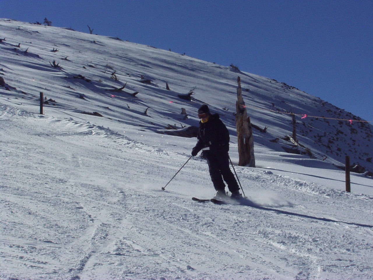 Click for Smaller Picture size !!