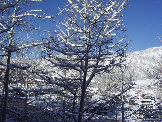 Click again for LARGE Picture