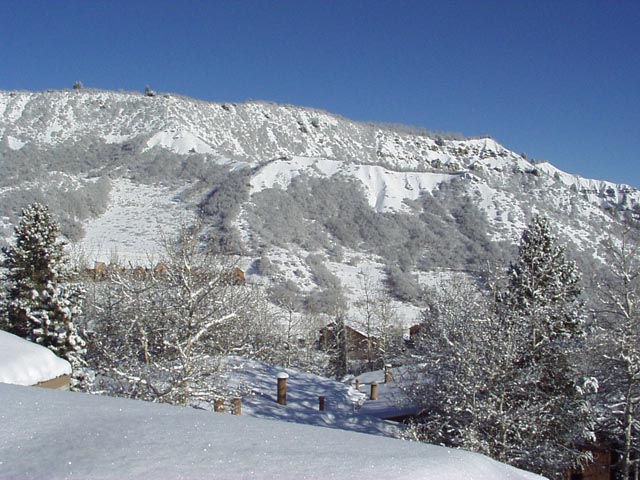 Click again for LARGE Picture