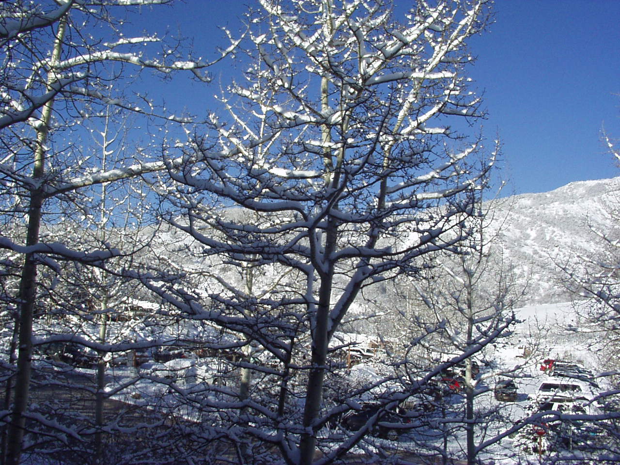 Click for Smaller Picture size !!