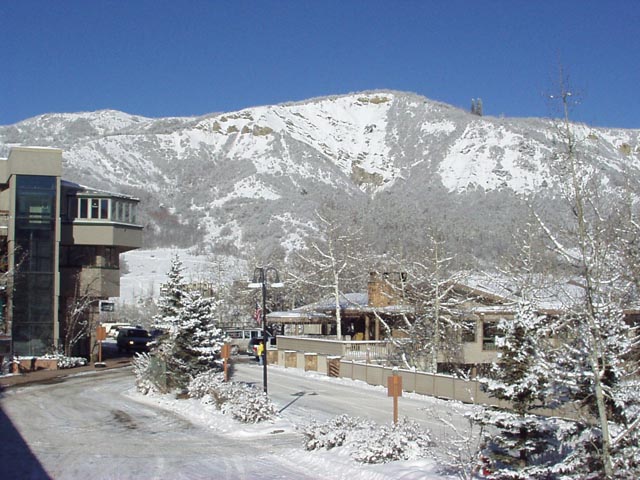 Click again for LARGE Picture