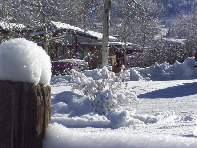 Click again for LARGE Picture