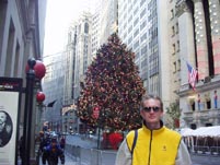 Stromcek pred Wall Street