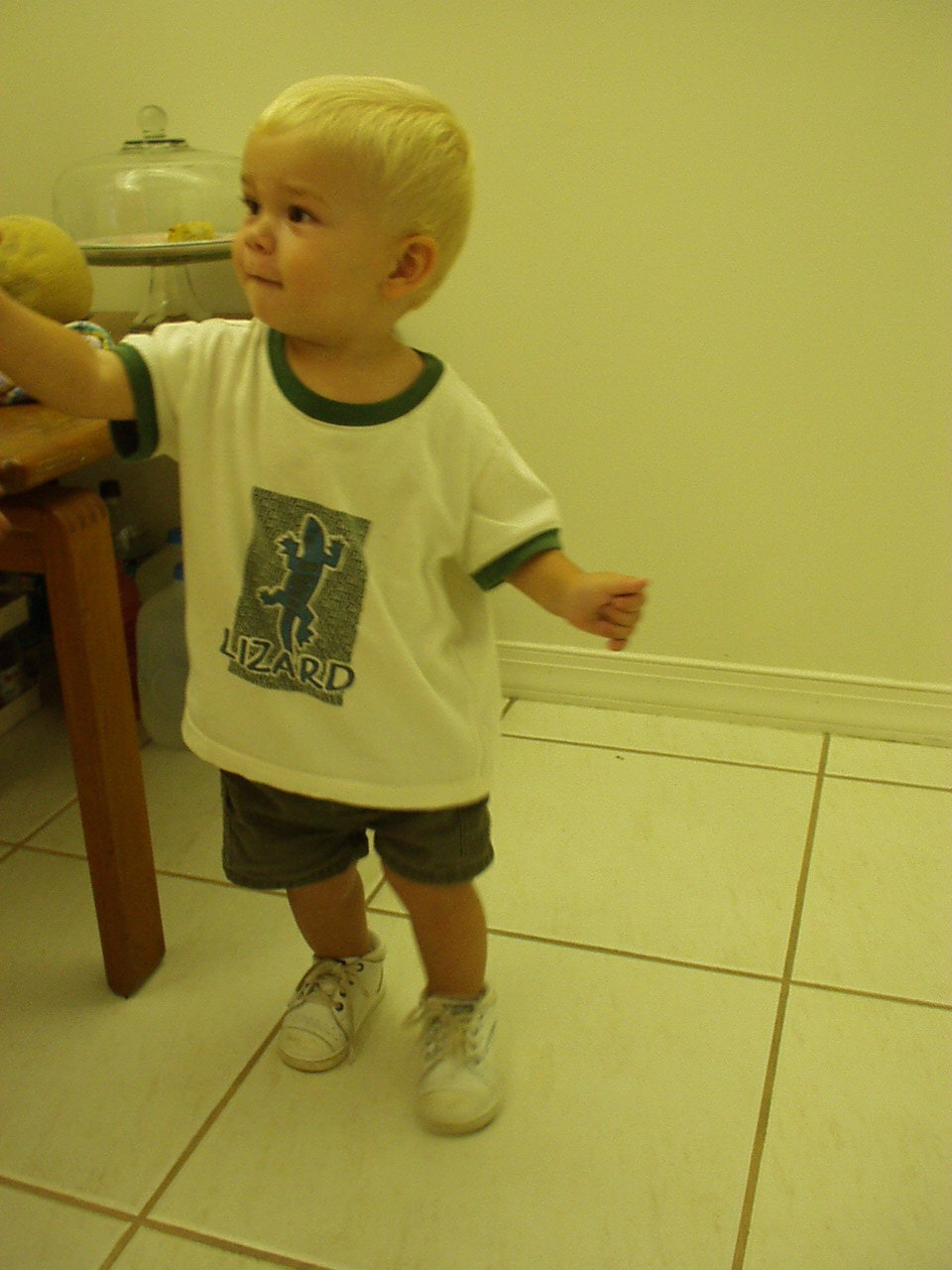 Click for Smaller Picture size !!