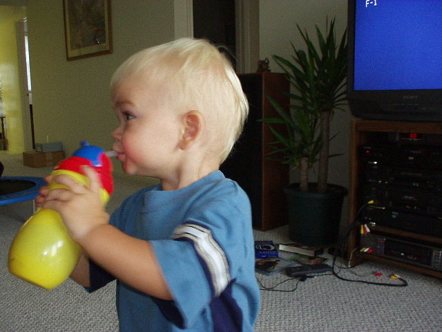 Click again for LARGE Picture