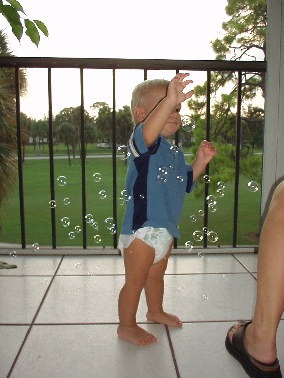 Click for Smaller Picture size !!