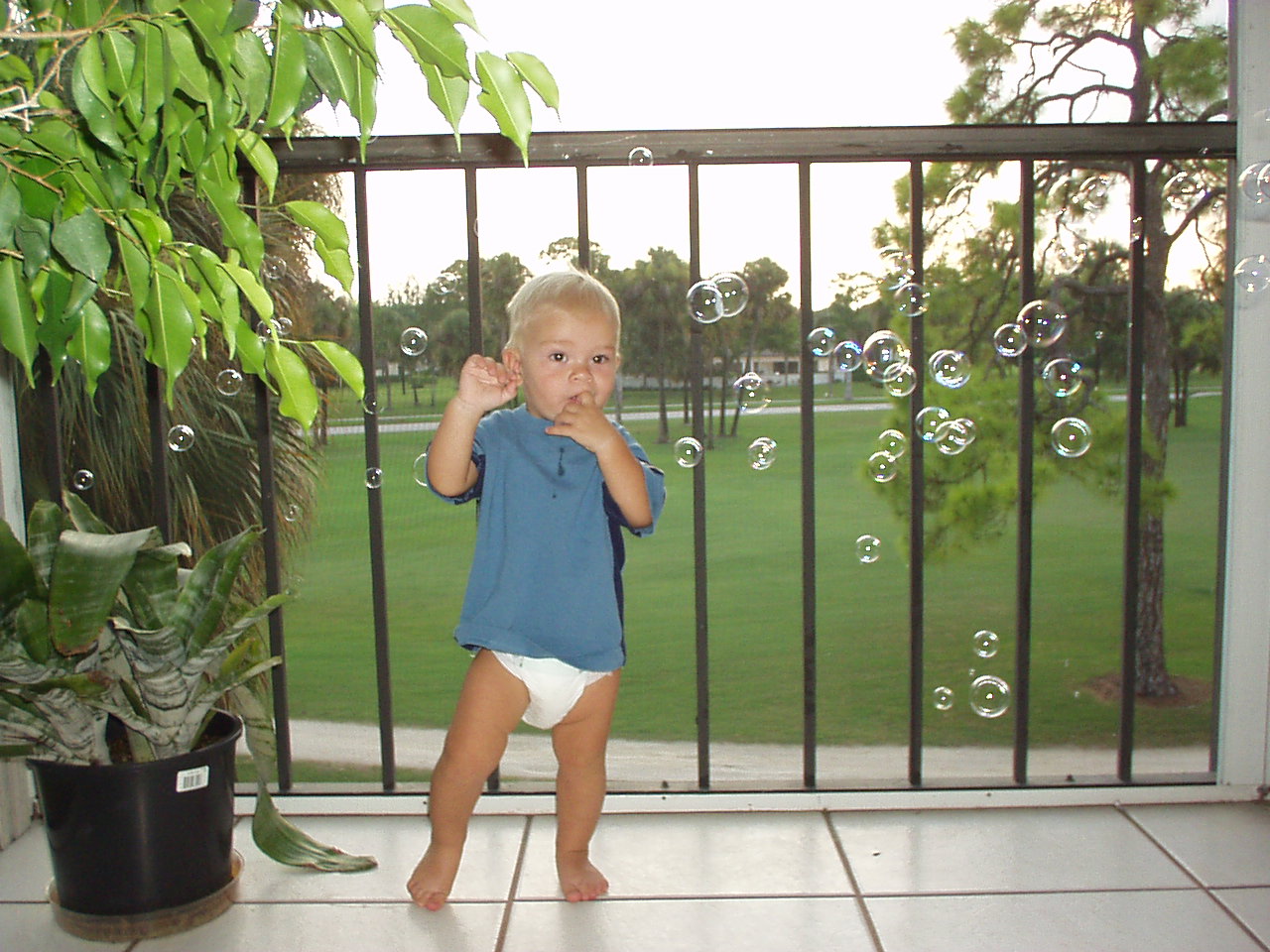 Click for Smaller Picture size !!