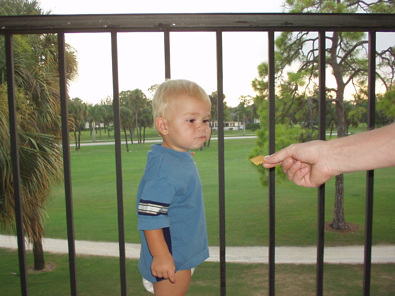 Click for Smaller Picture size !!