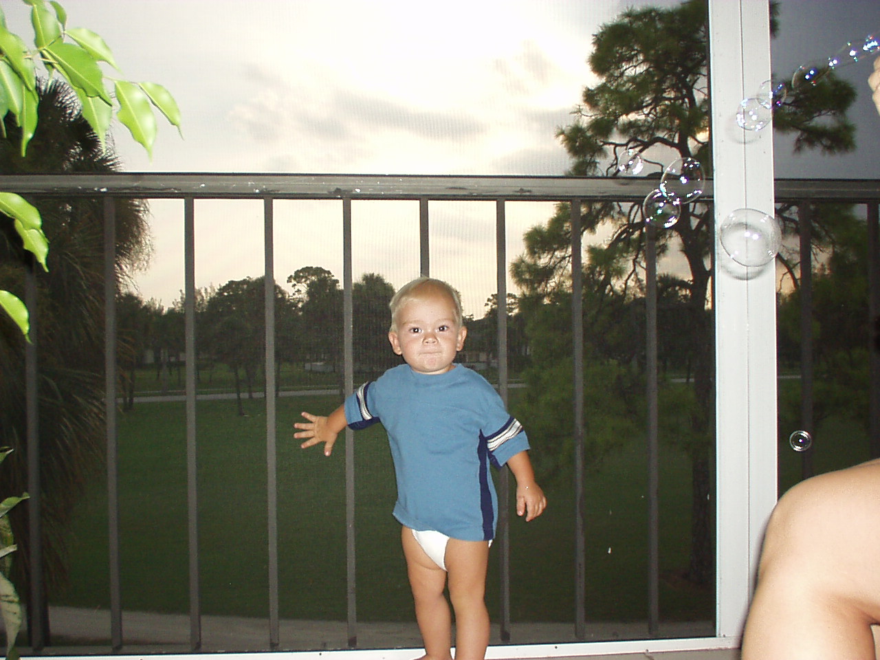 Click for Smaller Picture size !!