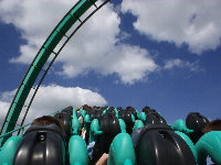 Vacsina este netusi, Co ich  caka. 